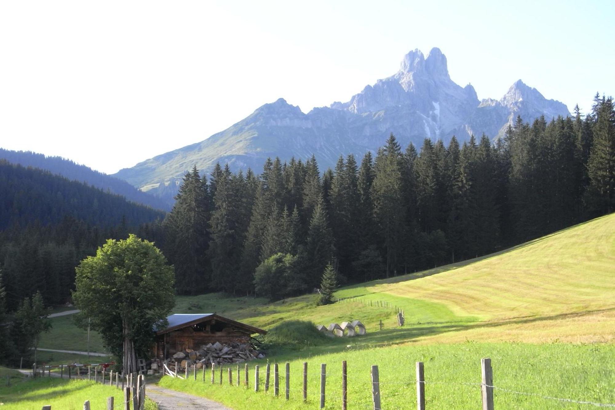 Aparthaus Birkenheim Фильцмос Экстерьер фото